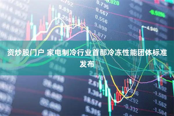 资炒股门户 家电制冷行业首部冷冻性能团体标准发布