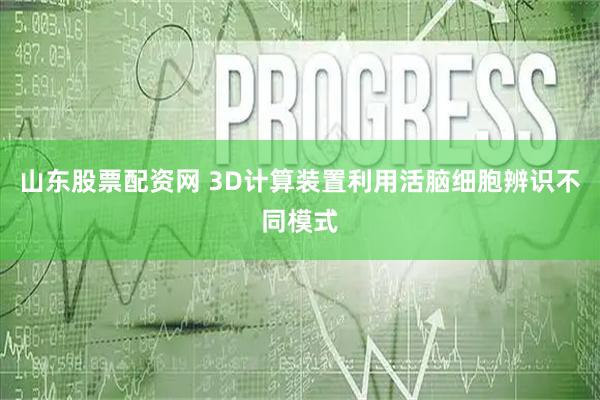 山东股票配资网 3D计算装置利用活脑细胞辨识不同模式